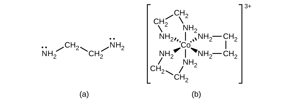 Two structures are shown. In a, H subscript 2 N appears at the left end of the structure. A short line segment extends up and to the right from the N atom to a C atom in a C H subscript 2 group. A short line segment extends down and to the right to another C atom in a C H subscript 2 group. A final short line segment extends from this C H subscript 2 group up and to the right to the N atom of an N H subscript 2 group. Each N atom in the structure has a pair of electron dots at its top. In b, a central C o atom has six N H subscript 2 groups attached with single bonds. These bonds are indicated with line segments extending above and below, dashed wedges extending up and to the left and right, and solid wedges extending below and to the left and right. The bonds to these groups are all directed toward the N atoms. The N H subscript 2 groups are each connected to C atoms of C H subscript 2 groups extending outward from the central C o atom. These C H subscript 2 groups are connected in pairs with bonds indicated by short line segments, forming 3 rings in the structure. This entire structure is enclosed in brackets. Outside the brackets to the right is a superscript 3 plus sign.