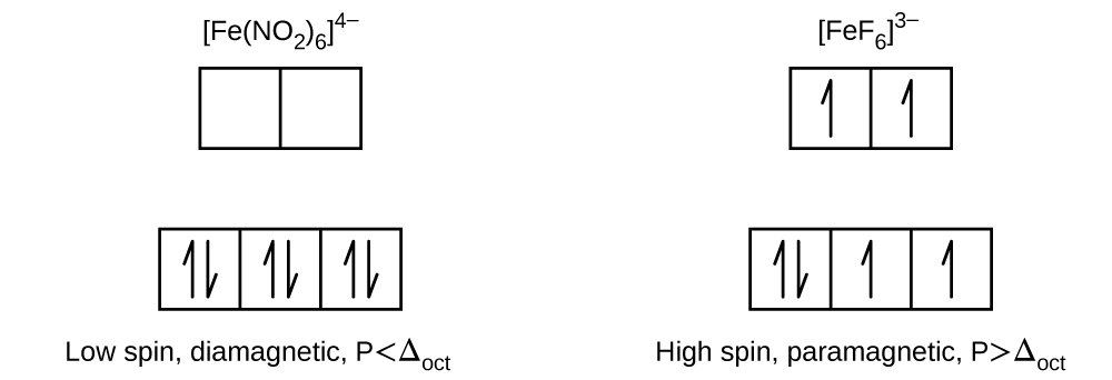 A diagram is shown with two columns and two rows of squares outlined in yellow. The first column is labeled “[ F e ( N O subscript 2 ) subscript 6 ] superscript 4 negative sign.” The second is labeled, “[ F e F subscript 6 ] superscript 3 negative sign.” In the left column, three linked squares outlined in yellow are shown. Each of the squares contains two half arrows, one pointing up and one pointing down. In a row just above, two empty linked squares are shown. The label, “Low spin, diamagnetic, P less than capital delta subscript oct,” is provided below the column. In the right column, three linked squares outlined in yellow are shown. The square on the left contains two half arrows, one pointing up and one pointing down. The other two squares each contain a single upward pointing half arrow. In a row just above, two linked squares are shown which each contain a single upward pointing half arrow. The label, “High spin, paramagnetic, P greater than capital delta subscript oct,” is provided below the column.