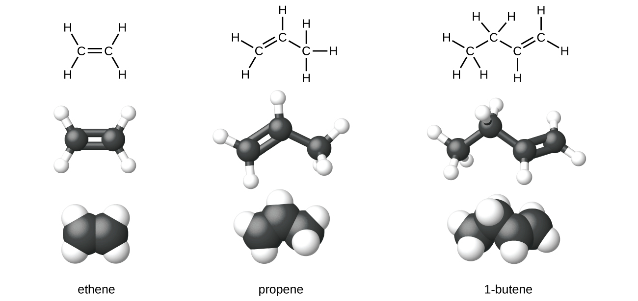 Lewis structural formulas show carbon and hydrogen element symbols and bonds between the atoms. The first structure in this row shows two bonded C atoms with a double bond between them. Each C atom has two H atoms bonded to it as well. The second structure in the row shows three bonded C atoms with a double bond up and to the right between the first and second C atoms moving left to right across the chain, and a single bond down and to the right between the second and third C atom. The first C atom has two H atoms bonded to it, the second C atom has one H atom bonded to it, and the third C atom has three H atoms bonded to it. The third structure shows four bonded C atoms with one bonded up and to the right to a C atom, down and to the right to a C atom, and double bonded up and to the right to a C atom. The first C atom, moving from left to right, has three H atoms bonded to it. The second C atom has two H atoms bonded to it. The third C atom has one H atom bonded to it, and the fourth C atom has two H atoms bonded to it. In the second row, ball-and-stick models for the structures are shown. In these representations, single bonds are represented with sticks, double bonds are represented with two parallel sticks, and elements are represented with balls. Carbon atoms are black and hydrogen atoms are white in this image. In the third row, space-filling models are shown. In these models, atoms are enlarged and pushed together, without sticks to represent bonds. In the final row, names are provided. The molecule with the double bond between two C atoms is named ethene. The molecule with the double bond between the first and second C atoms in the chain of three is named propene. The molecule with the double bond between the carbon atoms in the chain of four is named 1 dash butene.