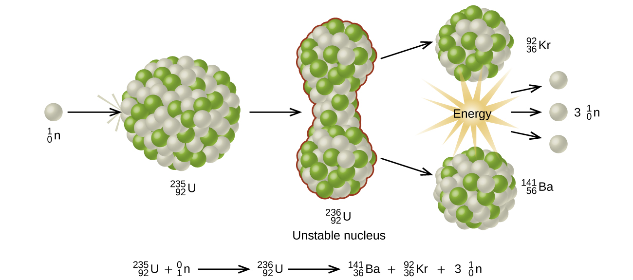 A diagram is shown which has a white sphere labeled “superscript, 1, subscript 0, n” followed by a right-facing arrow and a large sphere composed of many smaller white and green spheres labeled “superscript, 235, subscript 92, U.” The single sphere has impacted the larger sphere. A right-facing arrow leads from the larger sphere to a vertical dumbbell shaped collection of the same white and green spheres labeled “superscript, 236, subscript 92, U, Unstable nucleus.” Two right-facing arrows lead from the top and bottom of this structure to two new spheres that are also composed of green and white spheres and are slightly smaller than the others. The top sphere is labeled “superscript, 92, subscript 36, K r” while the lower one is labeled “superscript, 141, subscript 56, B a.” A starburst pattern labeled “Energy” lies between these two spheres and has three right-facing arrows leading from it to three white spheres labeled “3, superscript, 1, subscript 0, n.” A balanced nuclear equation is written below the diagram and says “superscript, 235, subscript 92, U, plus sign, superscript, 1, subscript 0, n, yield arrow, superscript, 236, subscript 92, U, yield arrow, superscript, 141, subscript 56, B a, plus sign, superscript, 92, subscript 36, K r, plus sign, 3, superscript, 1, subscript 0, n.”