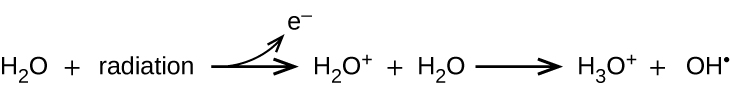 This image shows a reaction. It starts with H subscript 2 O plus radiation. There is a right-facing arrow which points to H subscript 2 O superscript positive sign plus H subscript 2 O. From the arrow, there is another arrow that curves upward and points to an e superscript negative sign. After the second H subscript 2 O there is another right-facing arrow which points to H subscript 3 O superscript positive sign plus O H superscript negative sign.